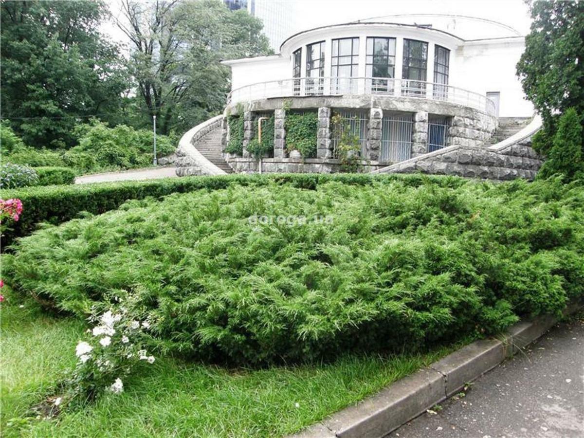 Kyiv Top Location 60M2 Apt In Old City Fast Wifi Selfchekin Екстериор снимка